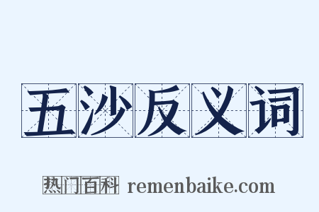 五沙反义词是什么意思的图片